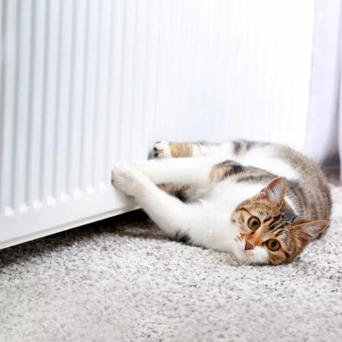 Radiator outlet